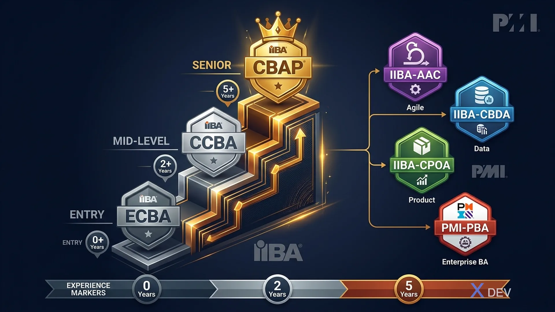 BA 認定資格：ECBA、CBAP、IIBA-AAC または PMI-PBA か？ エントリーからシニアへの道