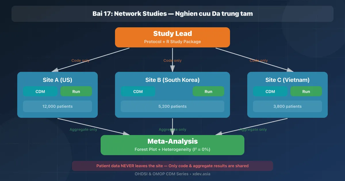 Bài 17: Network Studies — Nghiên cứu đa trung tâm
