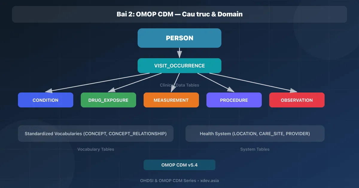 Bài 2: OMOP CDM — Cấu trúc & Domain