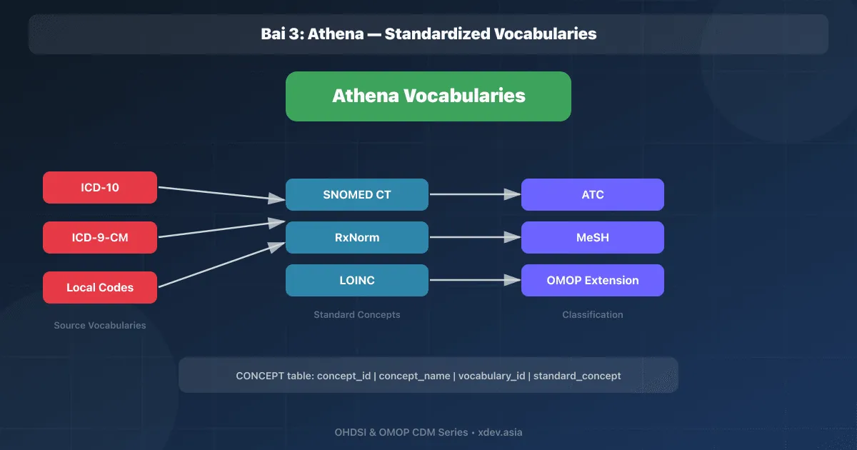 Bài 3: Athena — Standardized Vocabularies