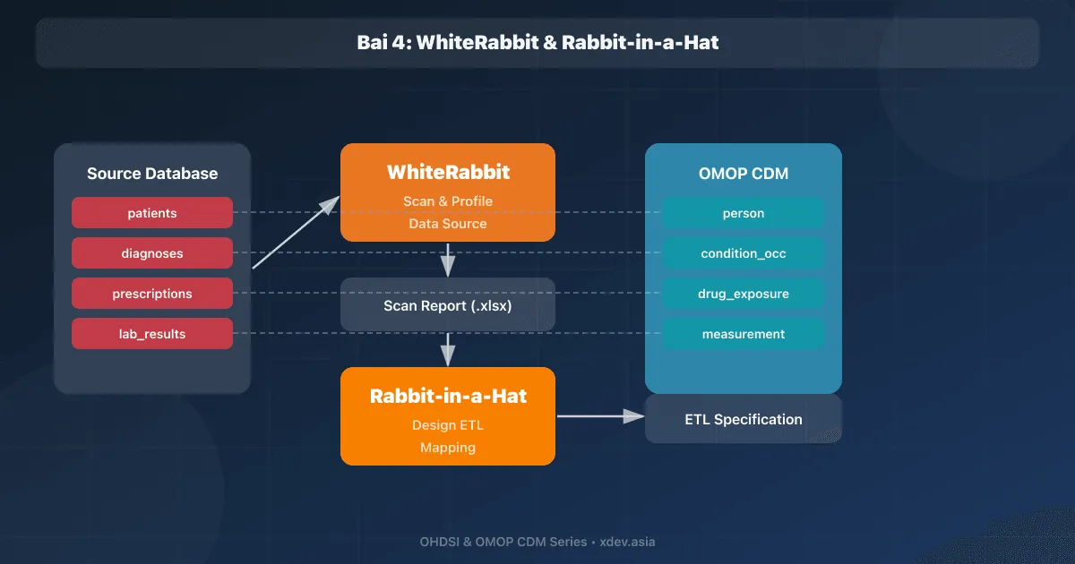 Bài 4: WhiteRabbit & Rabbit-in-a-Hat