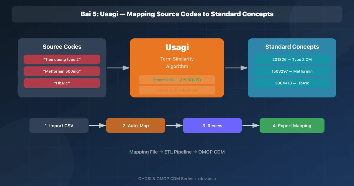 Bài 5: Usagi — Mapping Source Codes