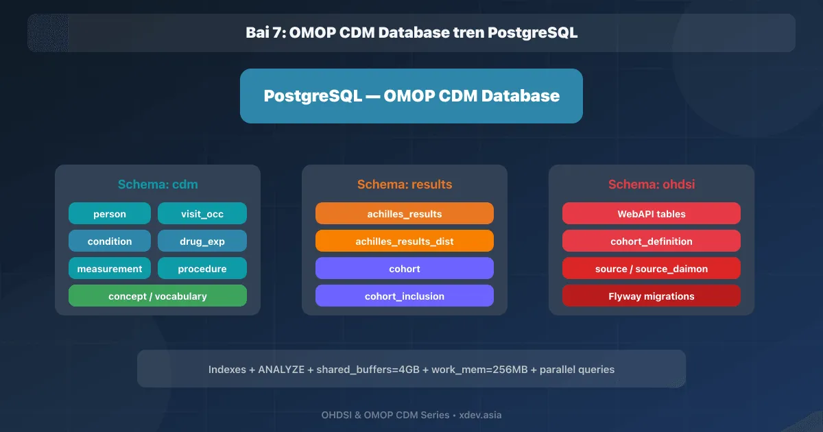 Bài 7: OMOP CDM Database trên PostgreSQL