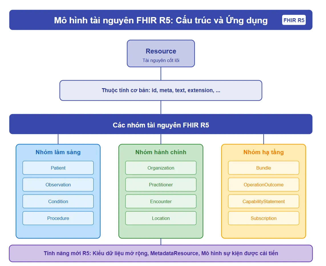 Mô hình tài nguyên FHIR R5: Cấu trúc và Ứng dụng